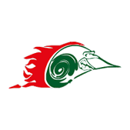 Nürnberg Rams Logo